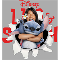 Stitch-SH  1328